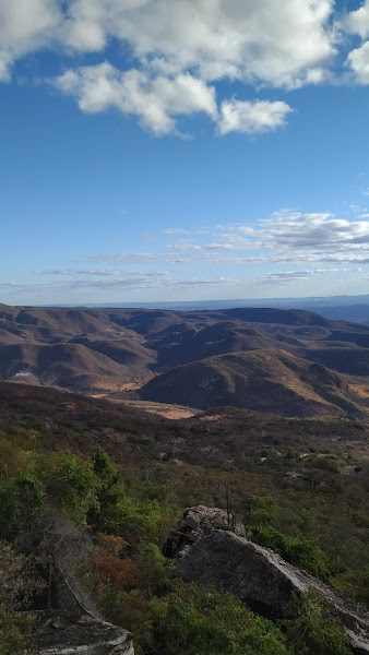 Candinho despachante