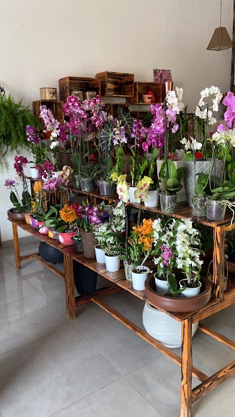 Jardim das Flores Floricultura