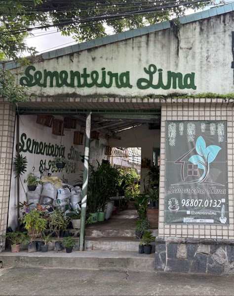 Sementeira Lima - Plantas Nativas em Recife PE - Reflorestamento/@sementeiralima