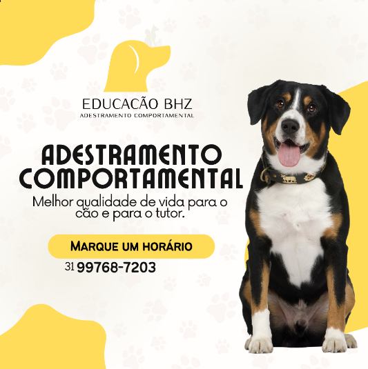 Ulisses Adestrador BH